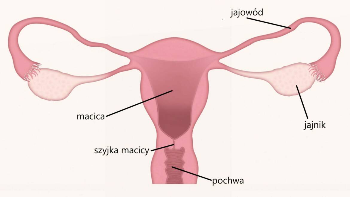 Co to jest endometrioza?