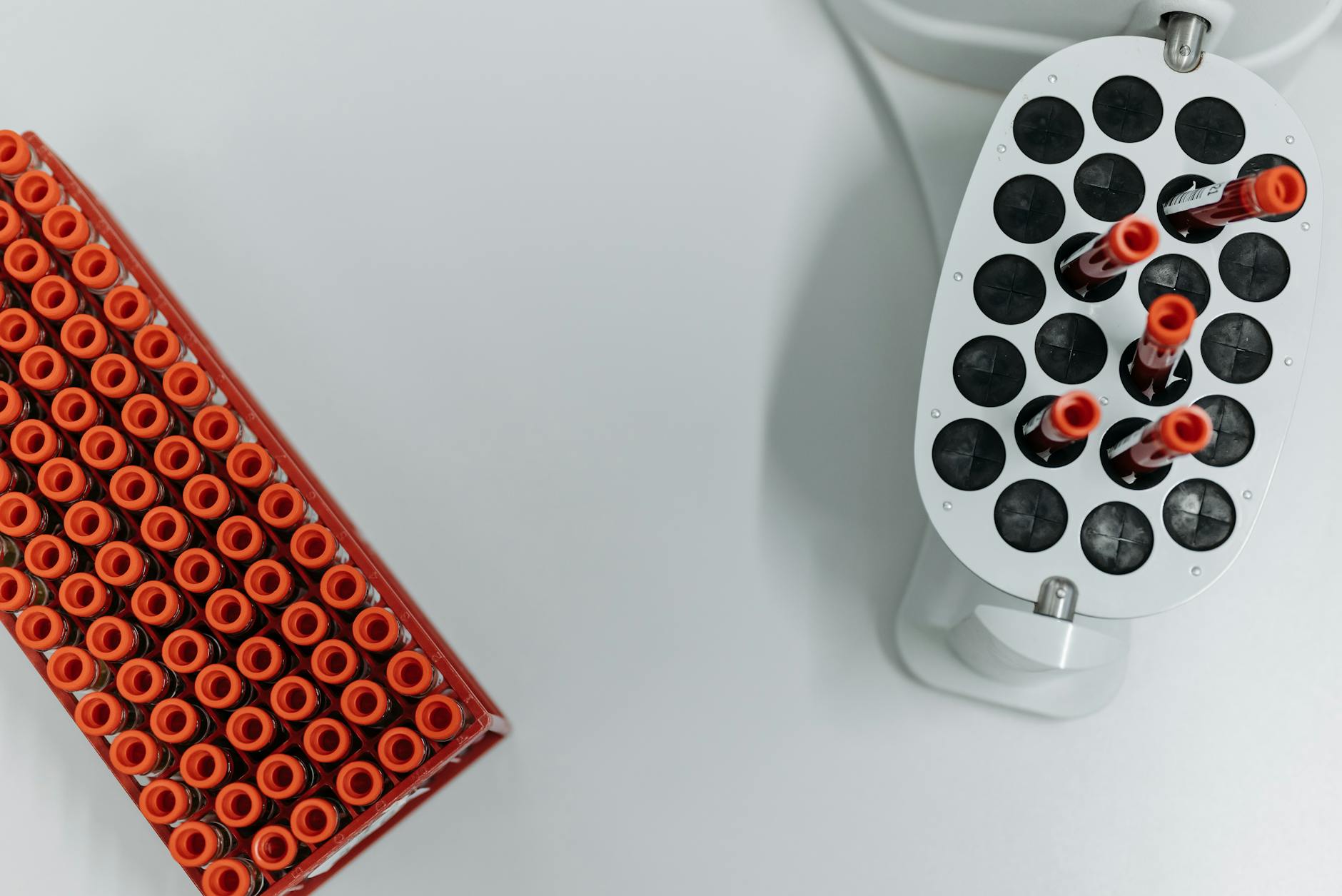 Probówki z krwią w wirówce laboratoryjnej do badań diagnostycznych